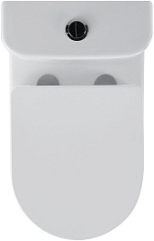 Black&White Унитаз W-7789 безободковый – фотография-7